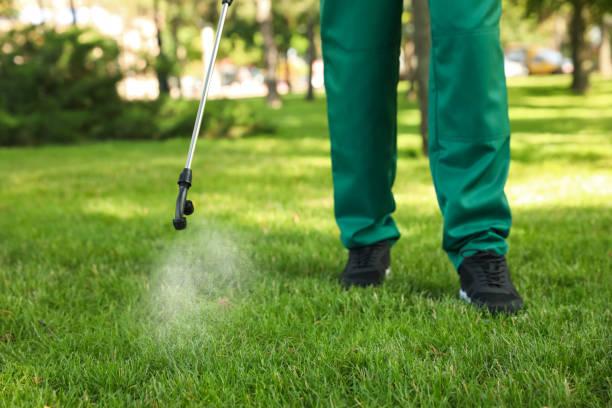 Best Wasp Removal Services  in Ferriday, LA