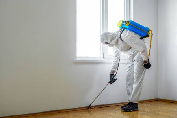 Best Pest Control for Homes  in Ferriday, LA