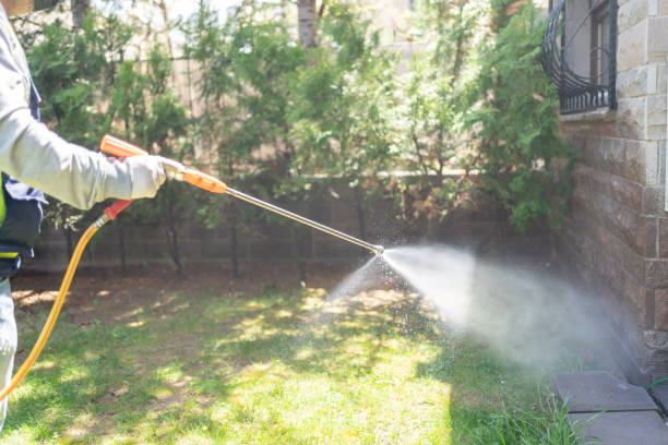 Best Termite Control Services  in Ferriday, LA