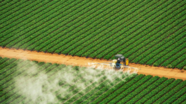Best Pest Prevention Services  in Ferriday, LA