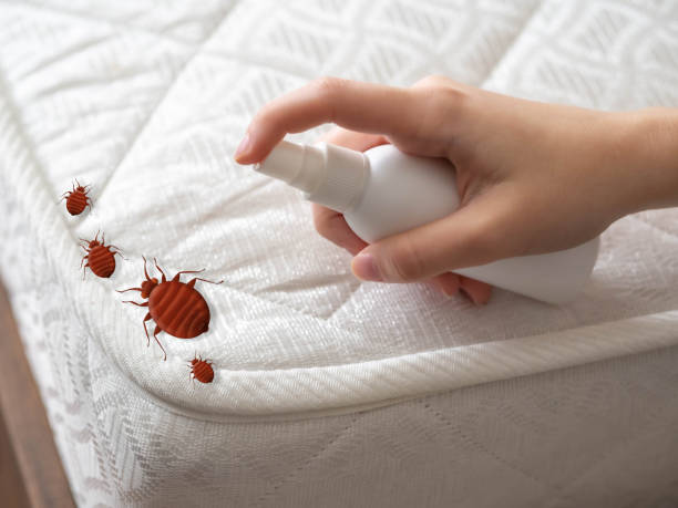 Professional Pest Control in Ferriday, LA