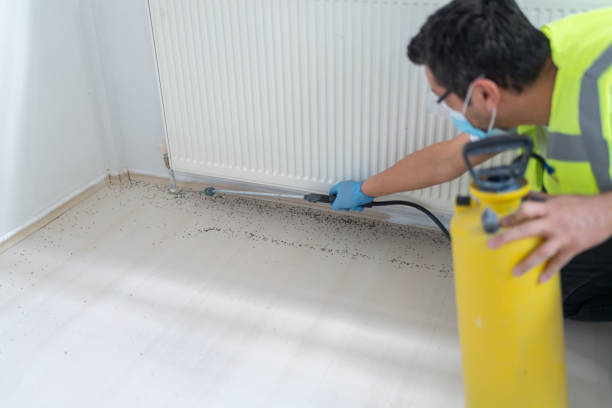Best Pest Control Cost  in Ferriday, LA