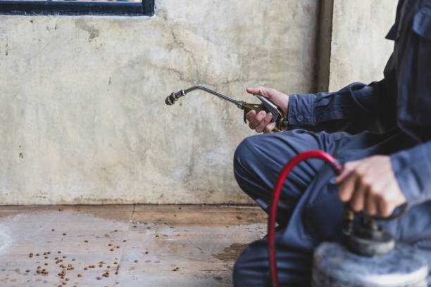 Best Mosquito Control Services  in Ferriday, LA